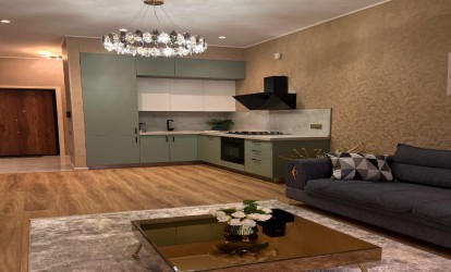 İcarəyə verilir — 2 otaqlı  yeni tikili  55 m²  Bakı Salatın Əsgərova kücəsi